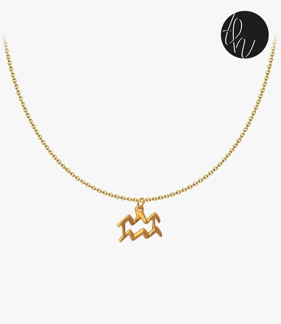 Aquarius Symbol Necklace 