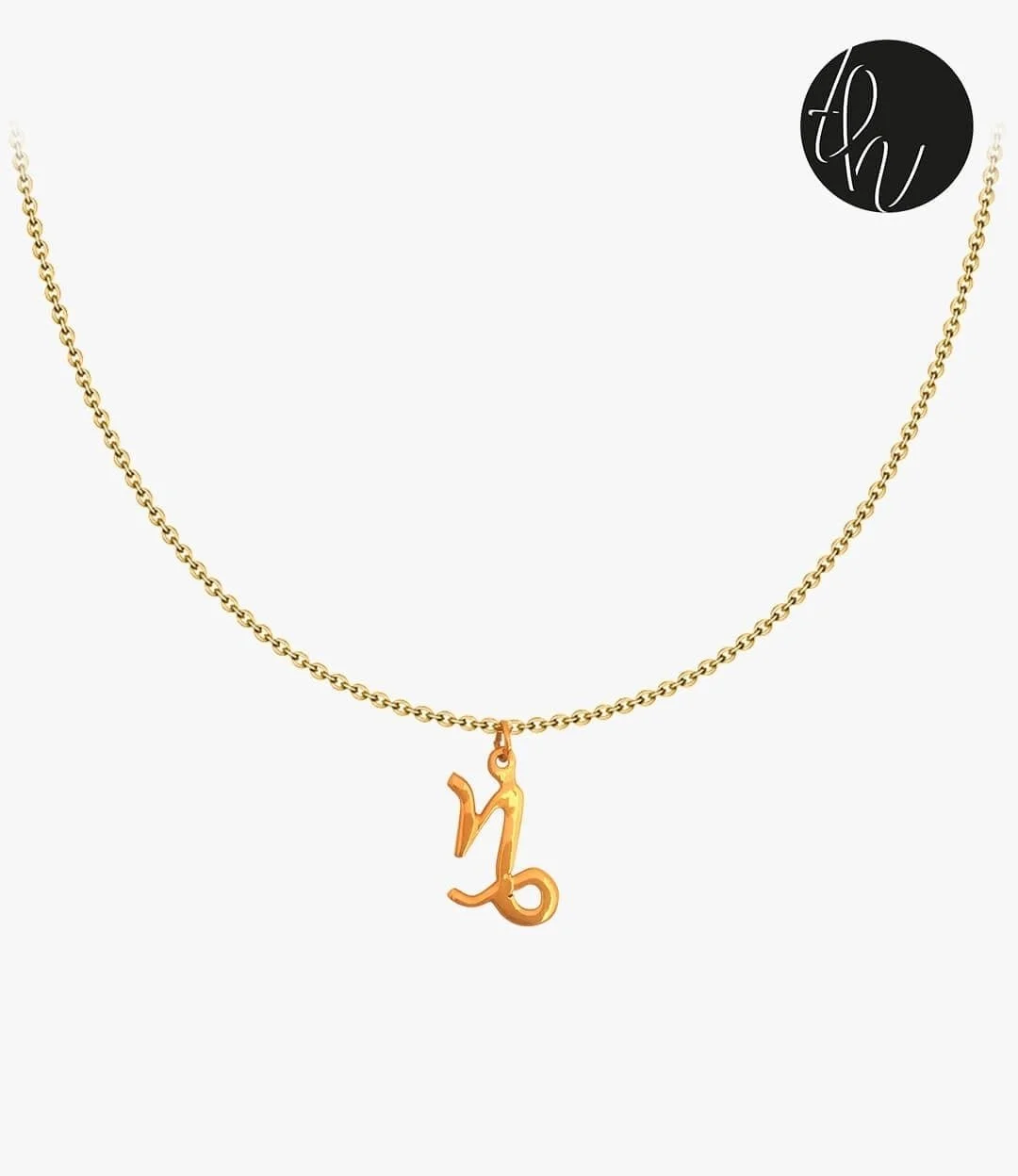 Capricorn Symbol Necklace 