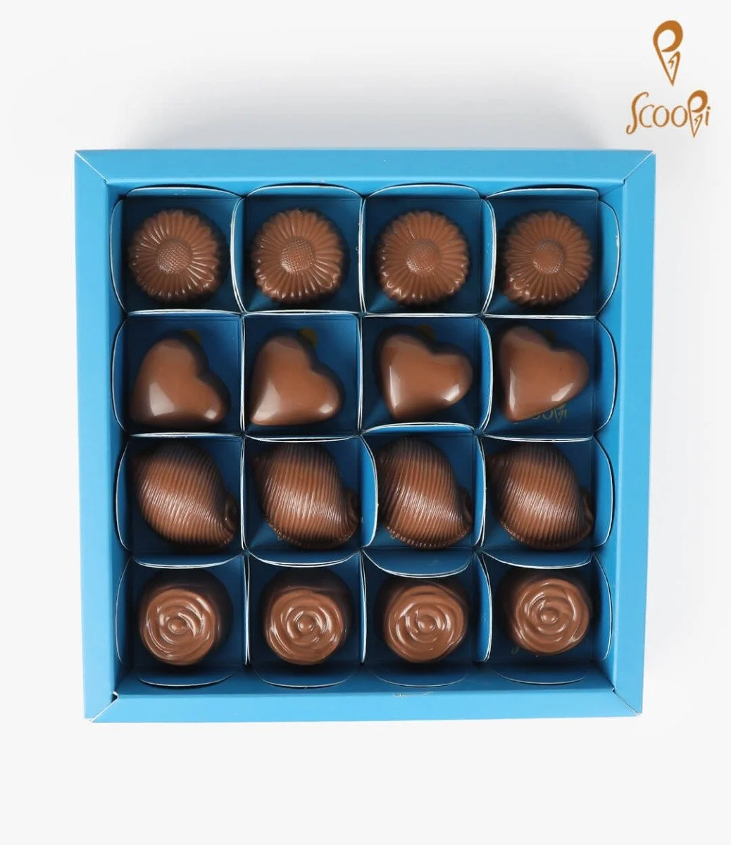 صندوق شوكولاتة من سكوبي 16 قطعة