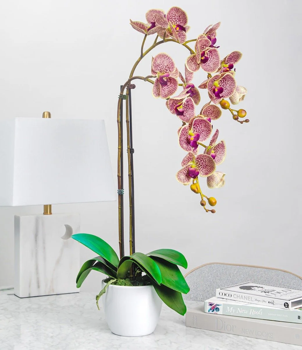 Artificial Double Stem Orchid Arrangement