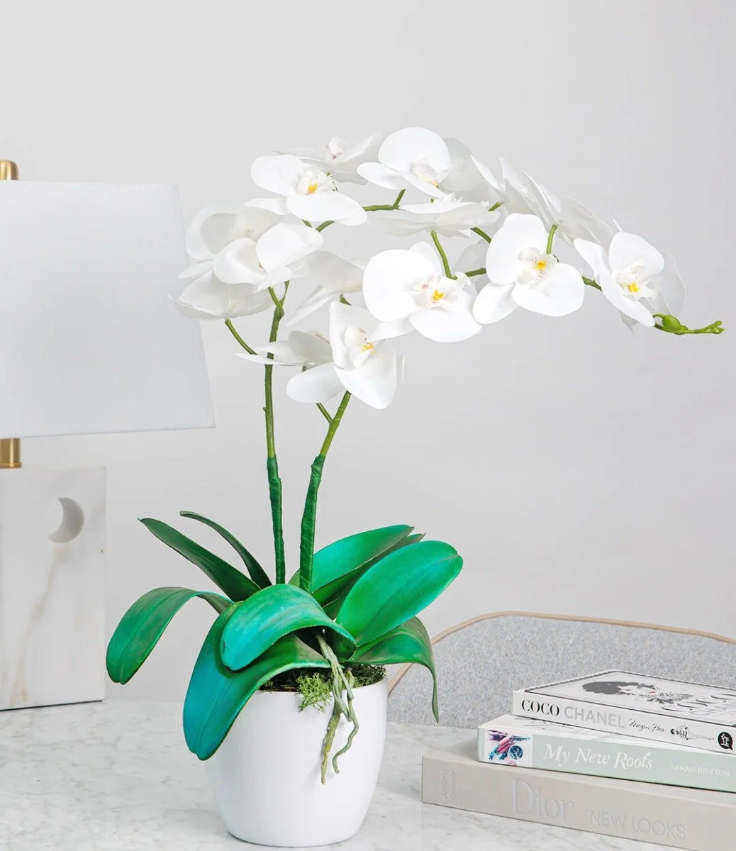Artificial Double Stem White Orchid Arrangement