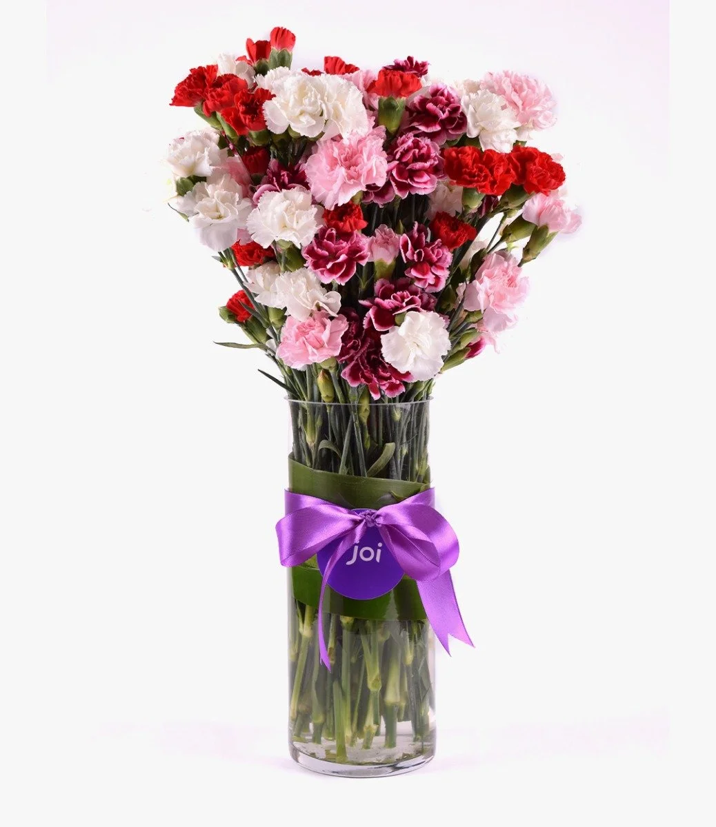 Assorted Carnations Arrangement