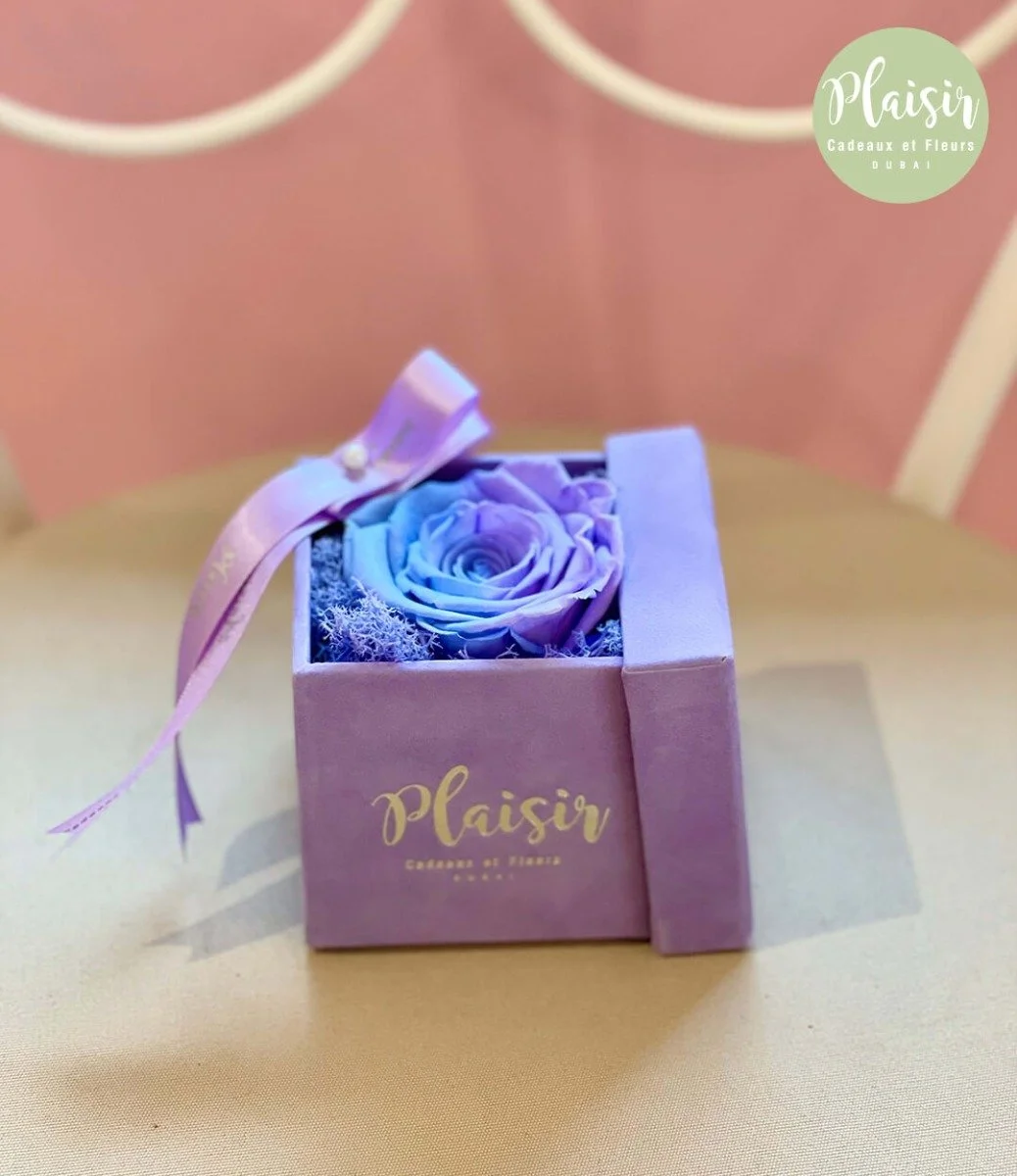 Candylane Single Infinity in Lilac Box By Plaisir