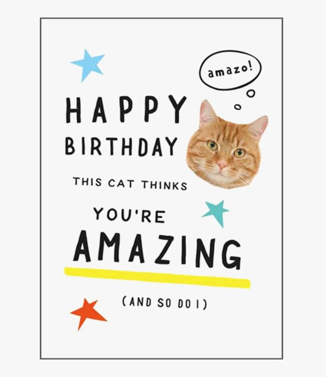 Cat Thinks You're Amazing Greeting Card by Horsefinger