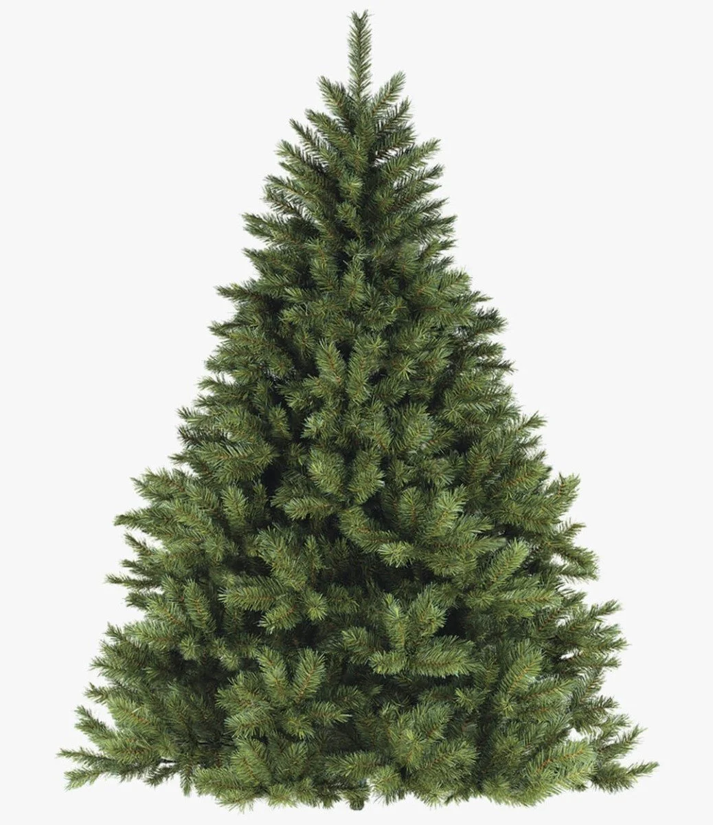 The Noble Fir Christmas Tree