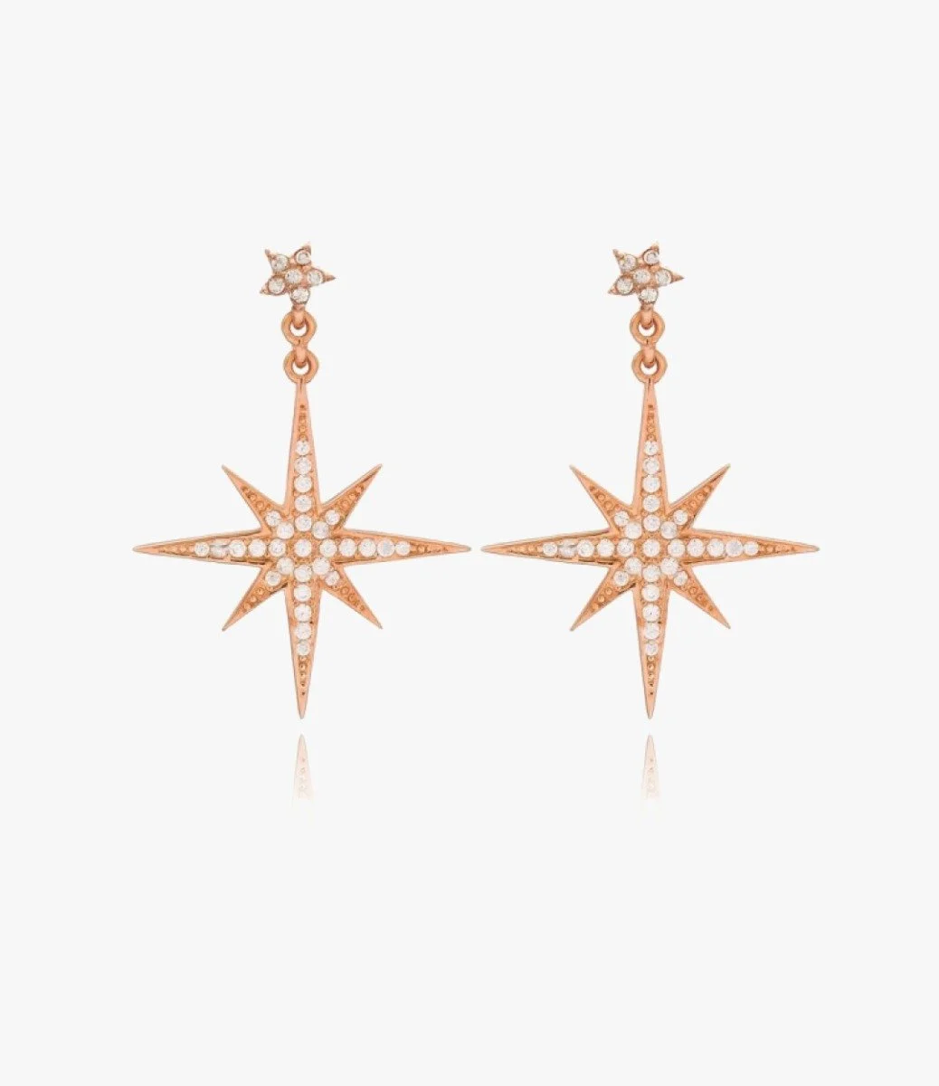 Hexagonal Pattern Earrings With Genuine Zircon