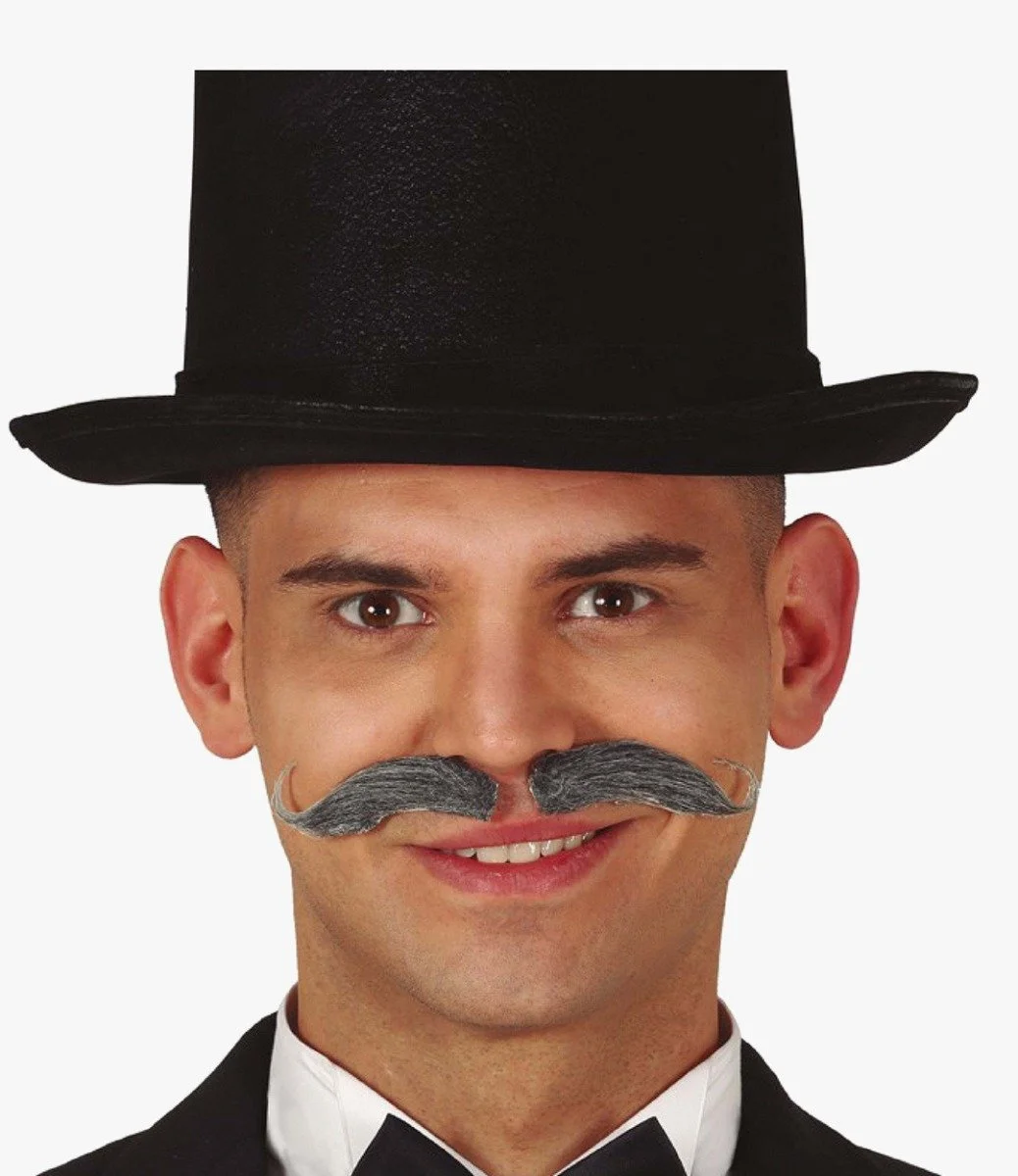 Gray Bavarian Mustache