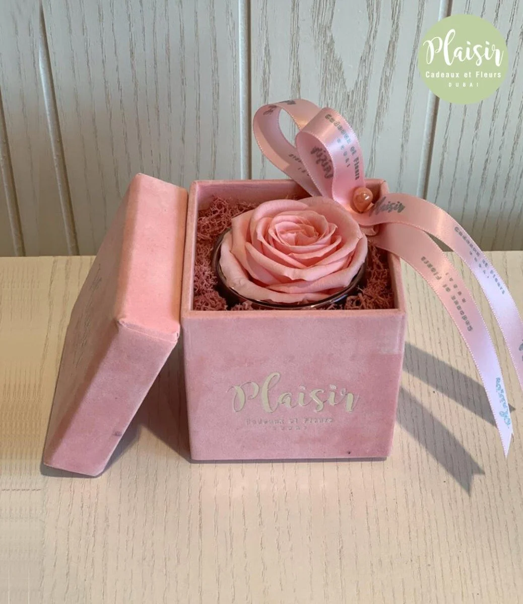 Single Infinity Pink Rose Box By Plaisir