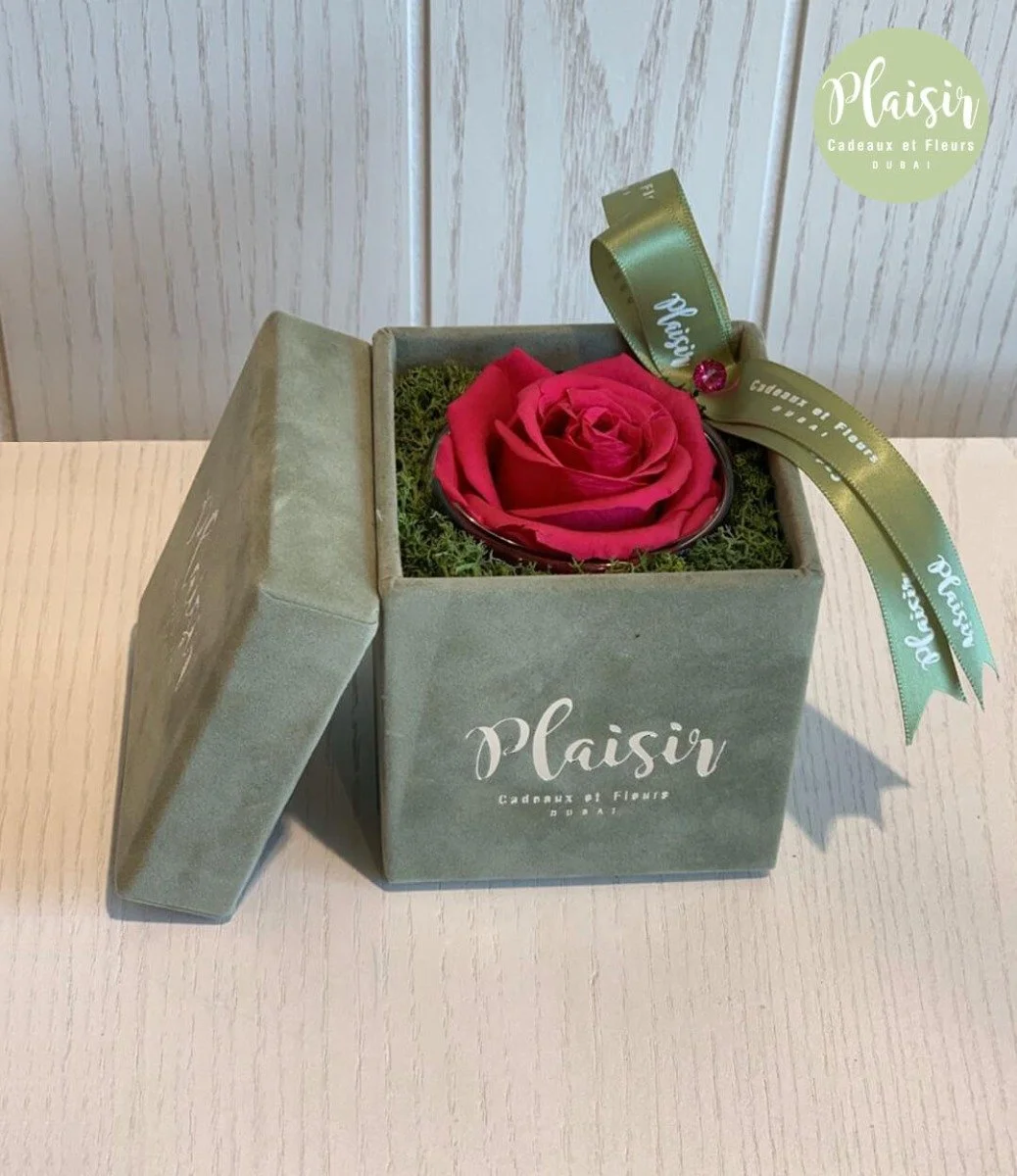 Single Infinity Red Rose In A Olive Green Box By Plaisir