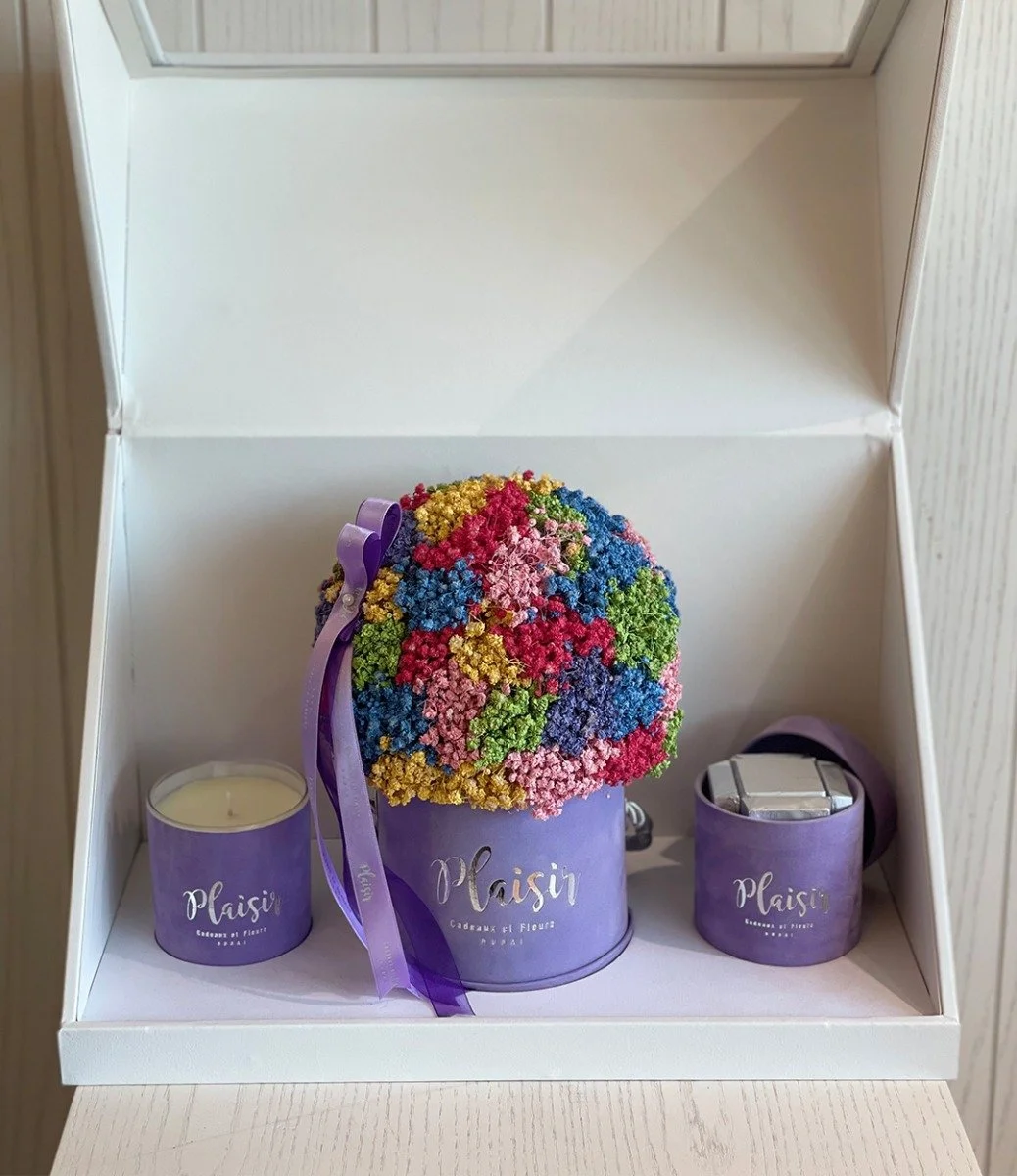 Lilac Rainbow Trio Gift Box by Plaisir