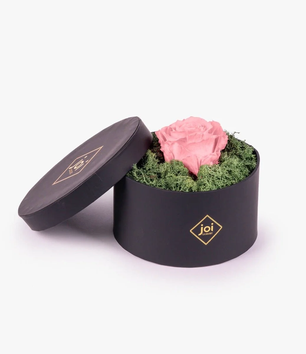 joi Luxury Long Life Rose Box - Pink 