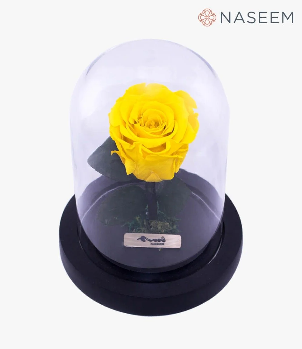 Long Life Small Yellow Rose