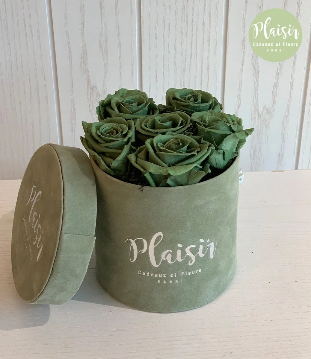 Luxury Long Life Olive Green Velvet Box - Small By Plaisir