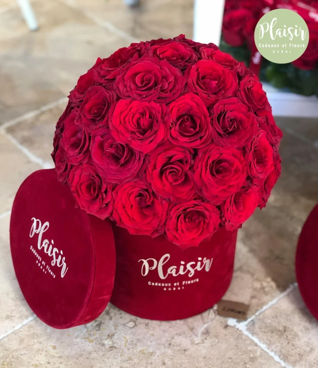 Mini Fresh Red Rose Dome By Plaisir