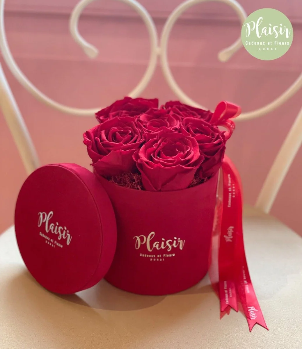 Mini Red Cylinder Box 6 Infinity Red Roses By Plaisir
