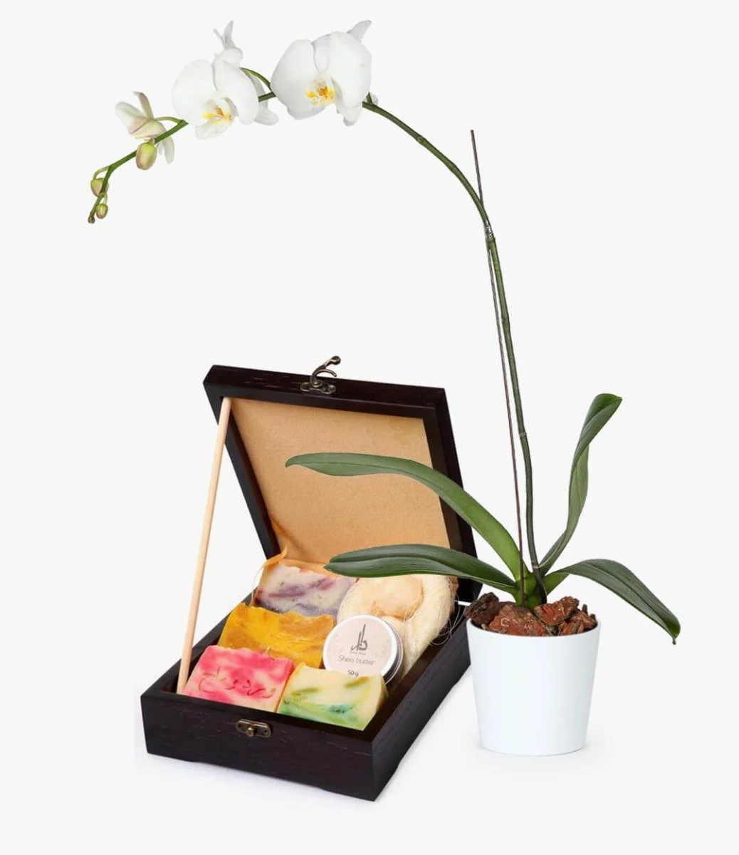 Organic Skincare Soaps Wooden Box & Orchid Bundle
