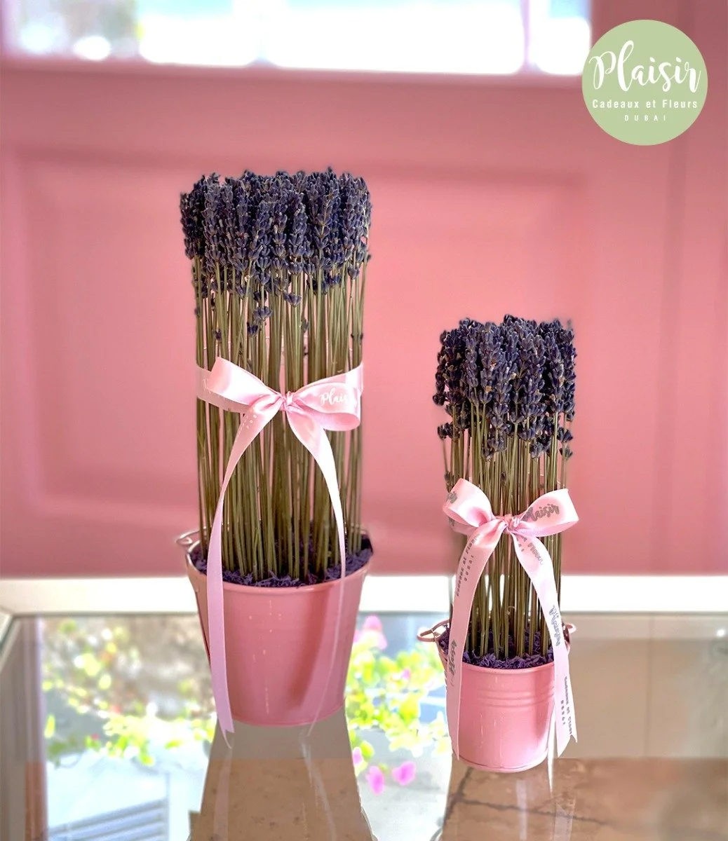 Petite And Mini Lavender Pail Gift Set By Plaisir