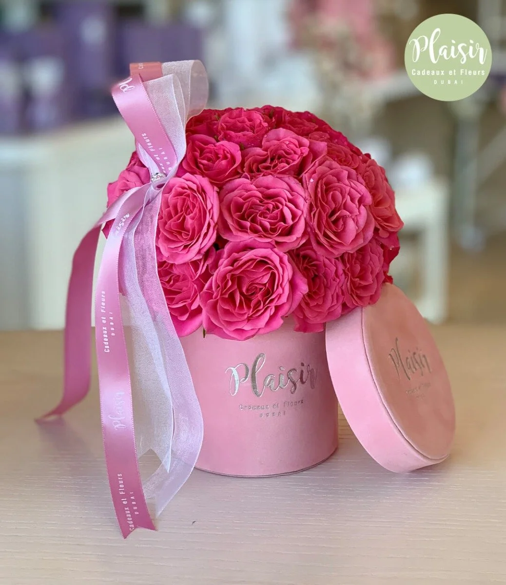 Petite Pink Rose Dome By Plaisir