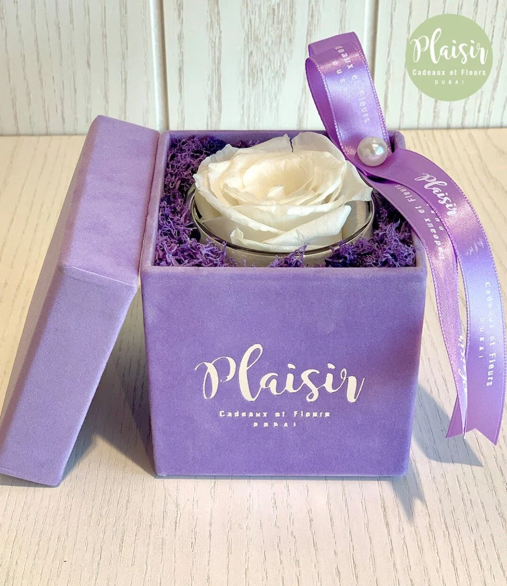 Single Infinity White Rose Box By Plaisir