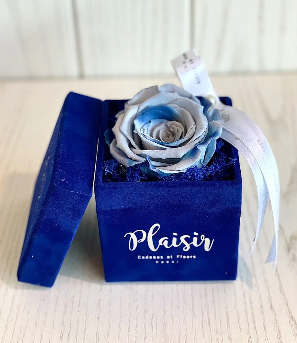وردة إنفينيتي زرقاء متعددة الألوان في صندوق أزرق ملكي من بليزير