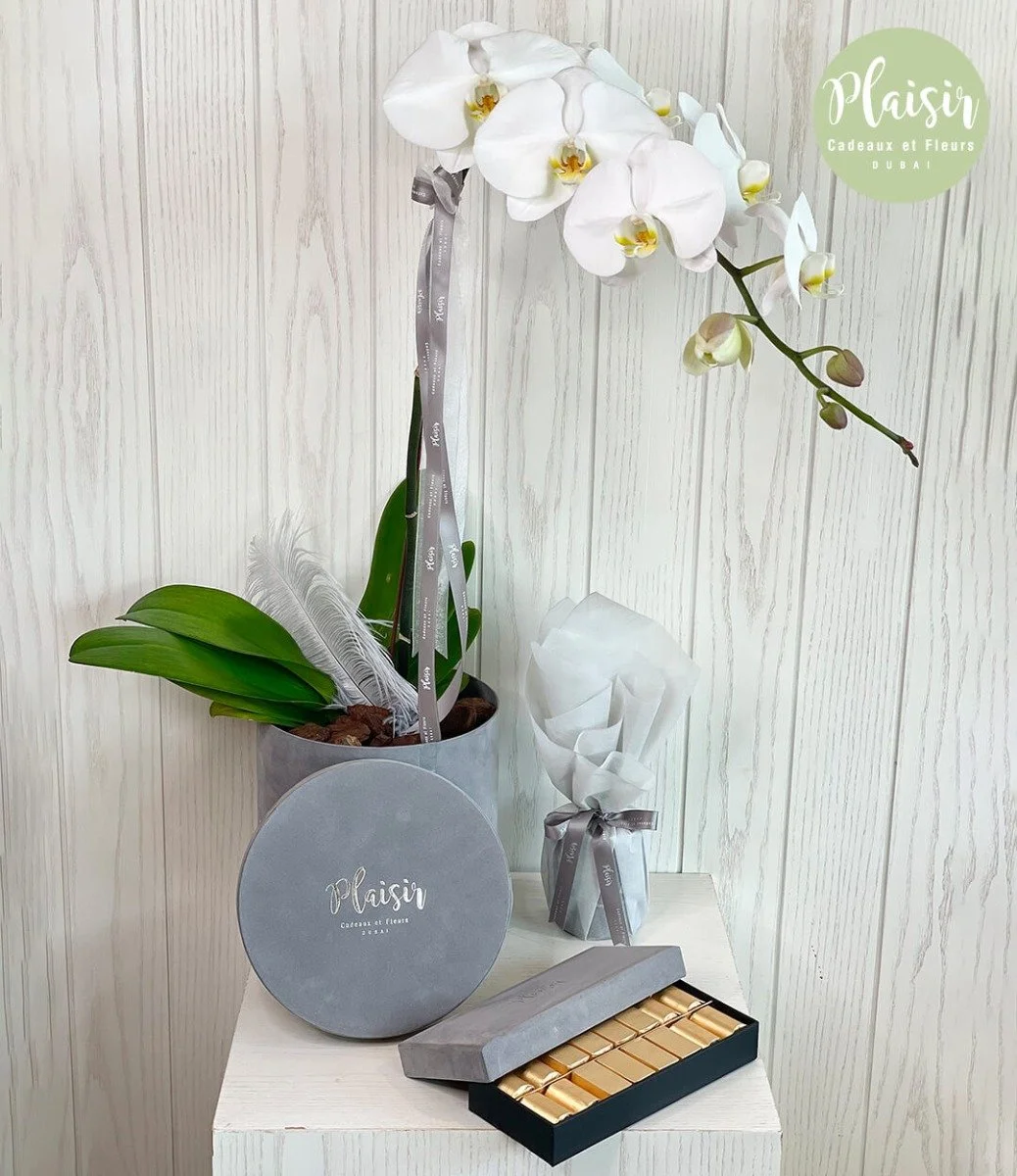 Single Orchid, Candle and Patchi Chocolate Giftset in Grey By Plaisir