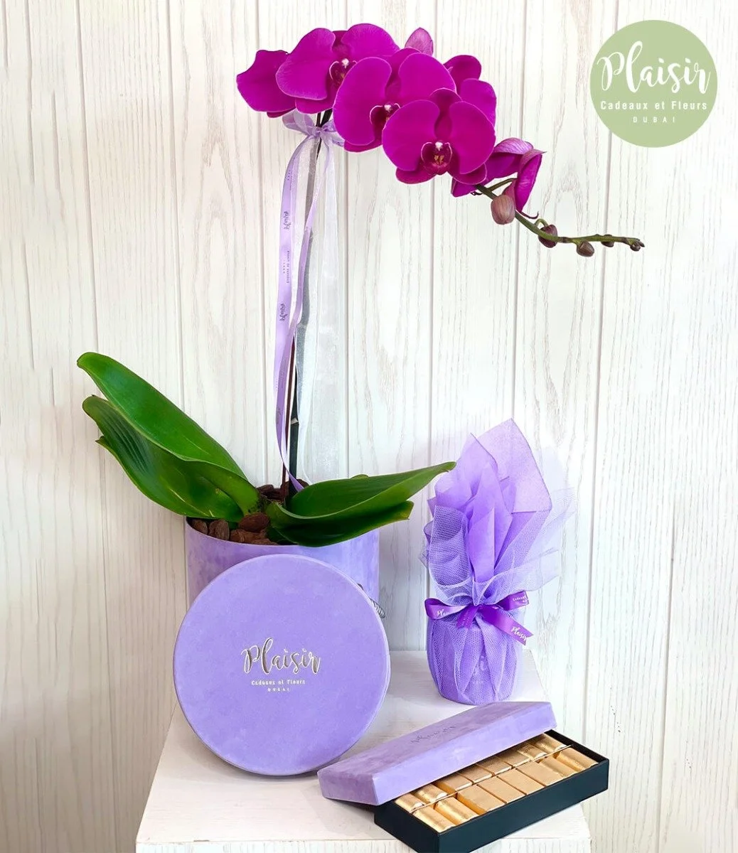 Single Orchid, Candle and Patchi Chocolate Giftset in Lilac By Plaisir