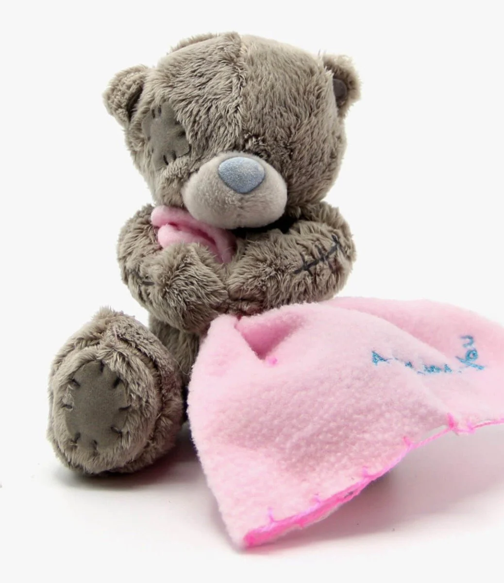 Small Teddy Bear With Pink Blanket