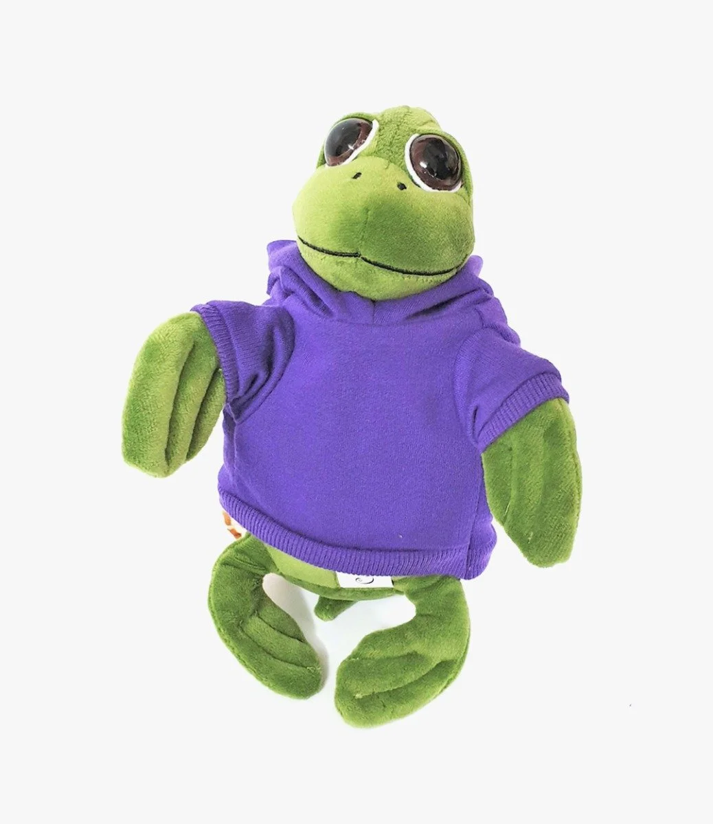 Green Turtle with Purple Hoodie 20cm by Fay Lawson