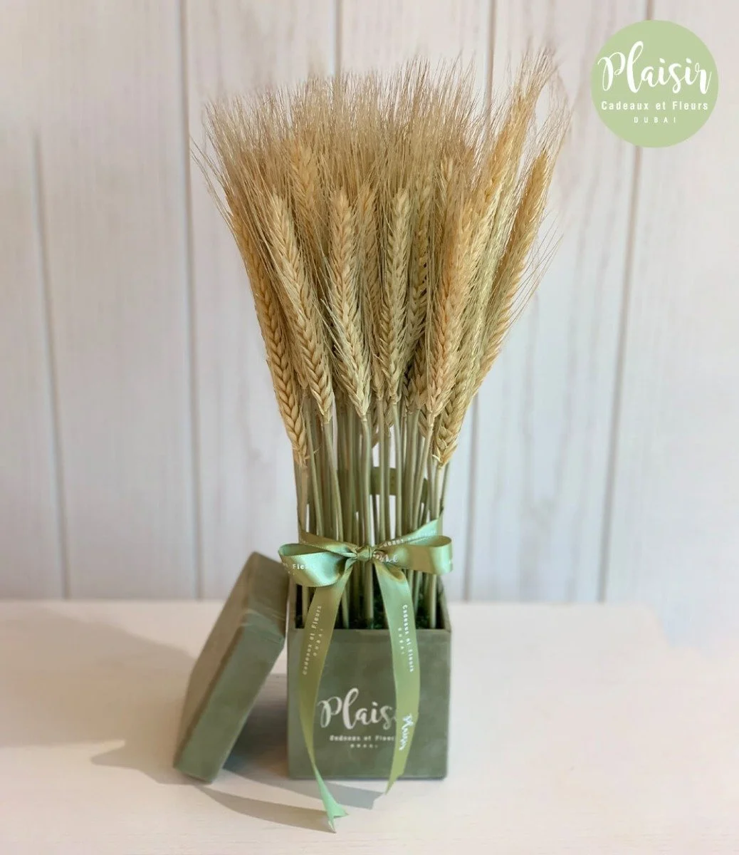 Wheat Velvet Box - Olive Green By Plaisir