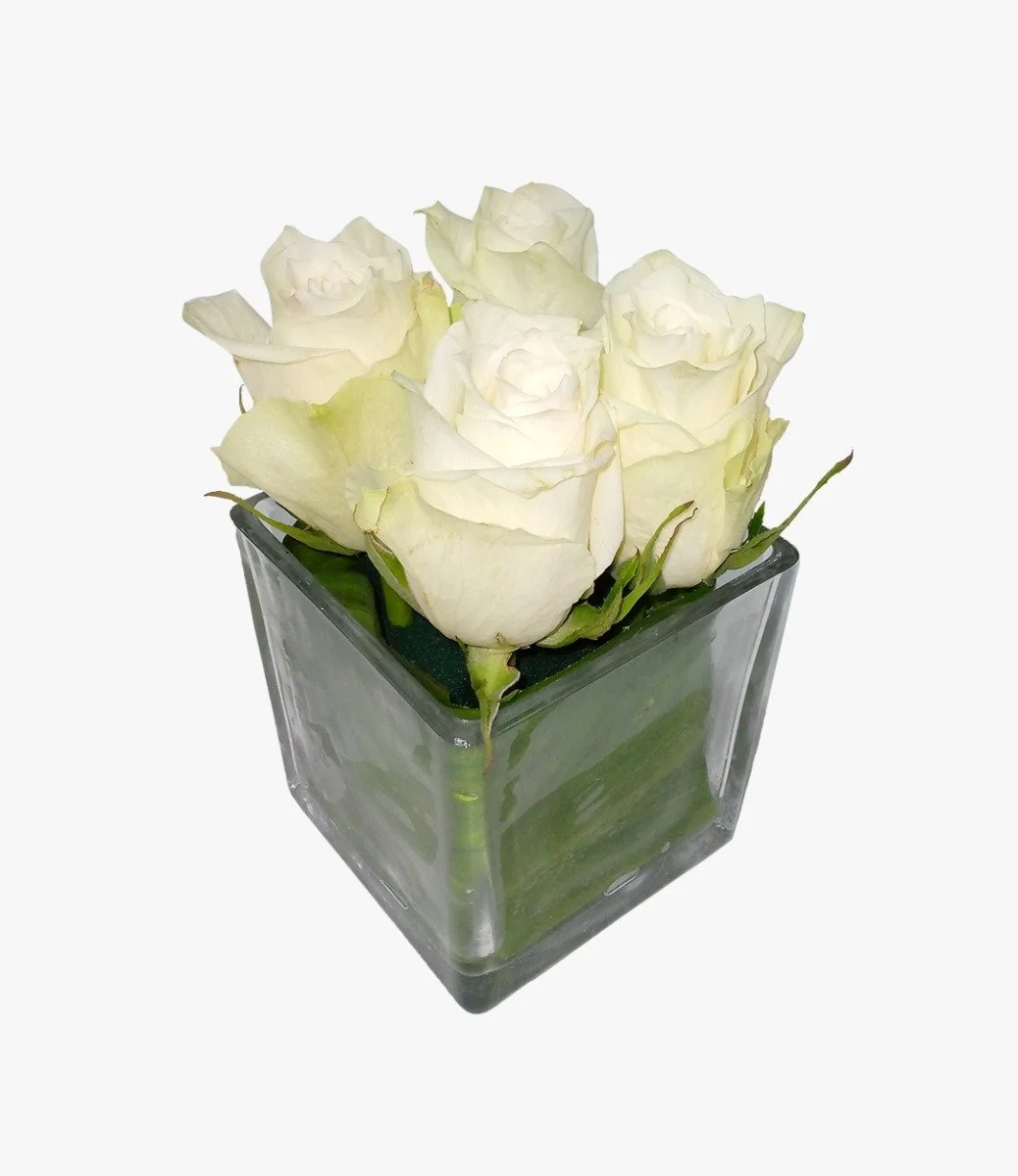 White Roses in A Cube Vase