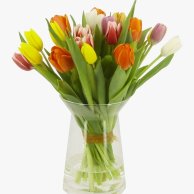 Life in Color Tulips Bouquet