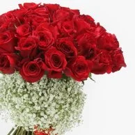 50 Red Roses 