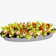 The Orchid Tray 