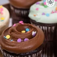 Chocolate and Vanilla Cupcakes 