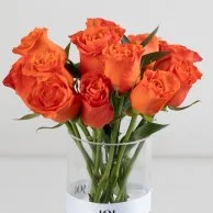 12 Orange Roses Bouquet