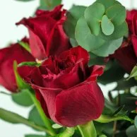 12 Red Roses & Eucalyptus Arrangement*