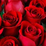 باقة 12 وردة حمراء رومانسية