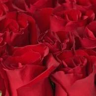12 Red Roses Luxury Flower Box