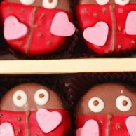 6 Valentine's Mood Oreos by NJD 