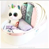Hudson Baby Giftbasket 