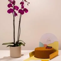 A Set of Cake and Violet Orchid Flower by Ashjar