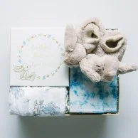 Bashful New Baby  Gift Set by Inna Carton - Boy