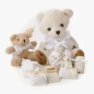 Big Bear Hug Baby Gift Set - Small