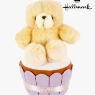 Birthday Cup Cake Teddy By Hallmark