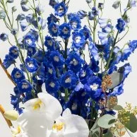 تنسيق زهور الصفاء الزرقاء