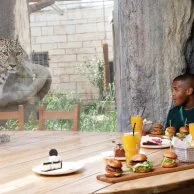 غداء مع ليوباردز لشخصين في حديقة الإمارات للحيوانات من دريم دايز
