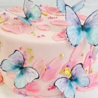 Butterfly Cake by Celebrating Life Bakery