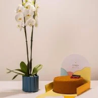 Cake and White Orchid Gift Set by Ashjar