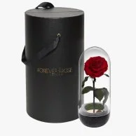 Capsule Red Rose Black by Forever Rose London
