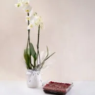 Chocolate Cherry Casserole & Orchids Bundle by Sugar Daddy's Bakery